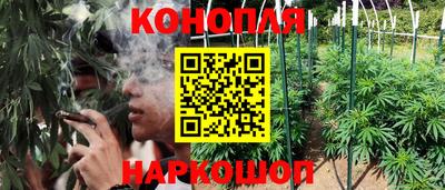 СК Владикавказ