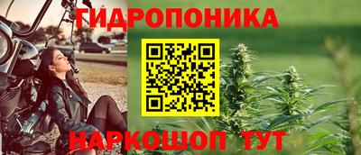 СК Владикавказ