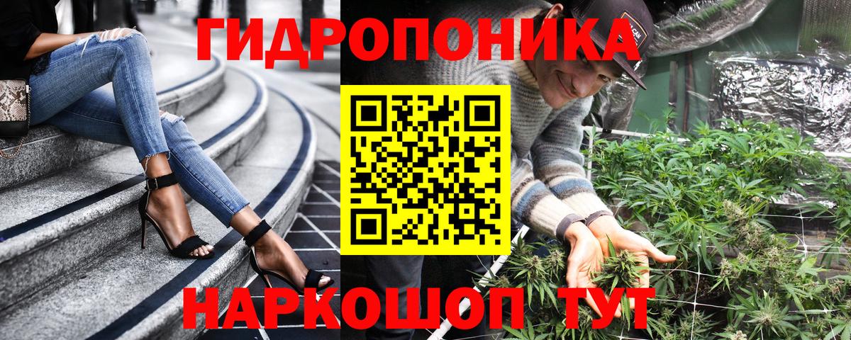 Бошки Шишки семена Топки